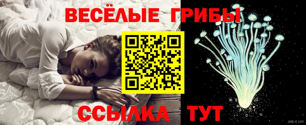 Галлюциногенные грибы Magic Shrooms  Псилоцибиновые грибы мицелий  Туймазы  Вход с VPN 